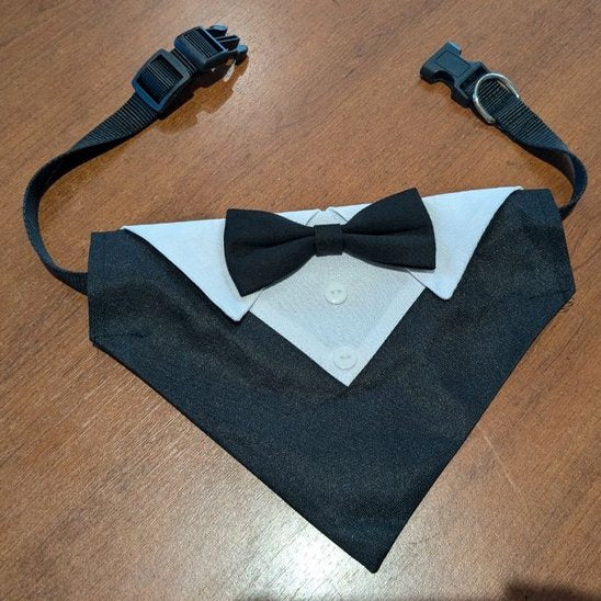 Bandana Chien | Tuxedo