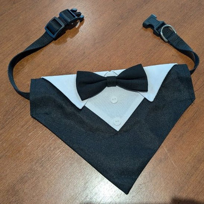 Bandana Chien | Tuxedo