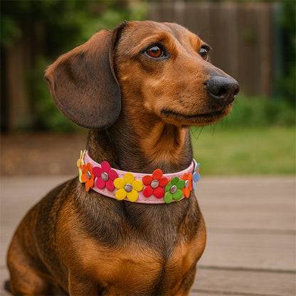 Collier pour chien | Fleura