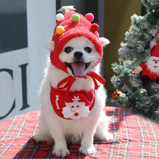 Déguisement chien | Adorable Noël