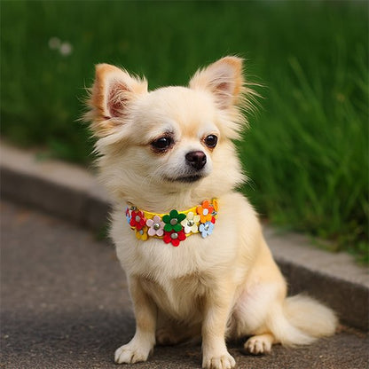 Collier pour chien | Fleura