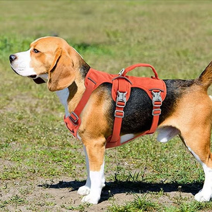 Harnais pour chien | ComfortWalk