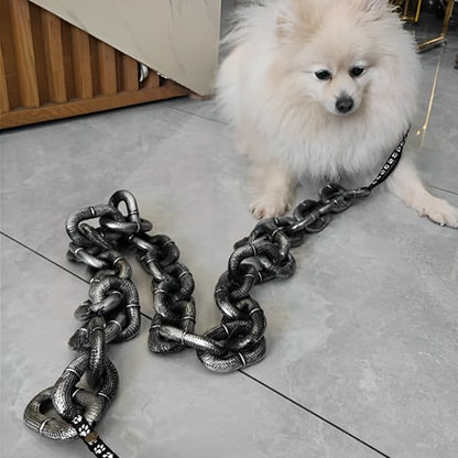Laisse chien | Chaîne