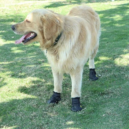 Chaussures chien | TerraProtect