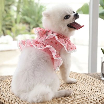 Harnais petit Chien | Queeny