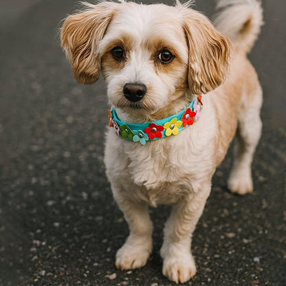 Collier pour chien | Fleura