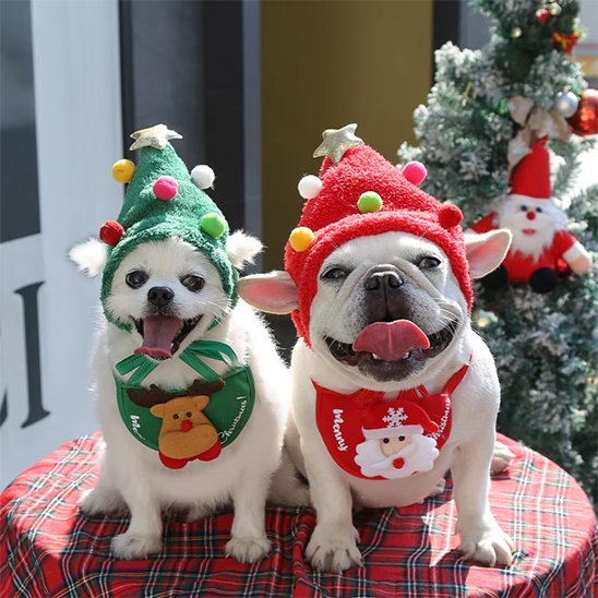 Déguisement chien | Adorable Noël