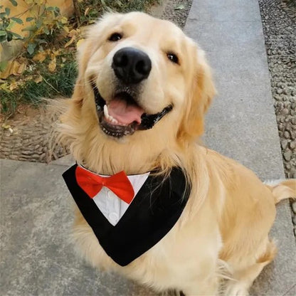 Bandana Chien | Tuxedo