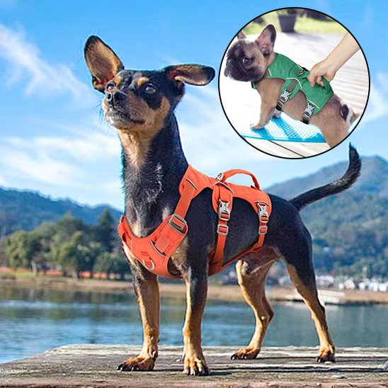 Harnais pour chien | ComfortWalk