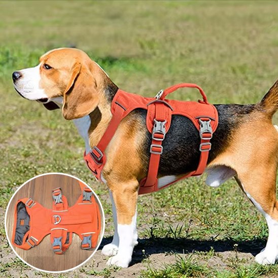 Harnais pour chien | ComfortWalk