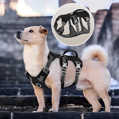 Harnais pour chien | ComfortWalk