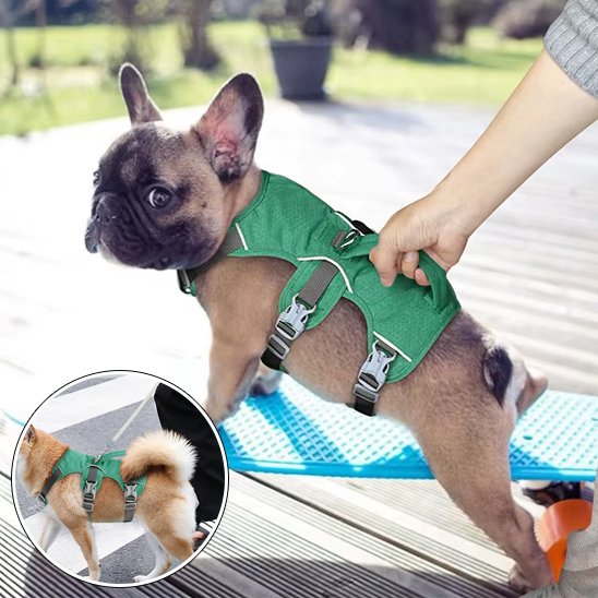 Harnais pour chien | ComfortWalk