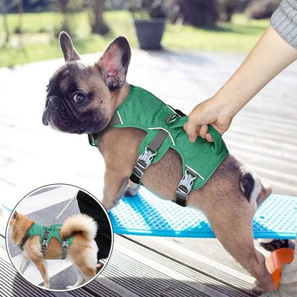 Harnais pour chien | ComfortWalk