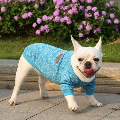 pull-pour-chien-bleu-pale