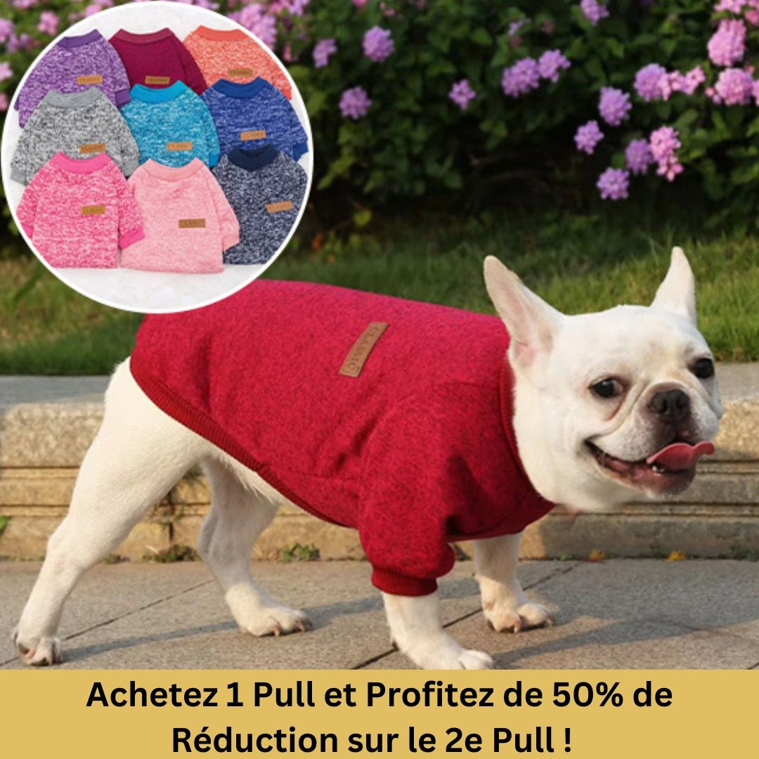 Pull pour Chien Izzy™ : Élégance et Confort - Le monde de Philo