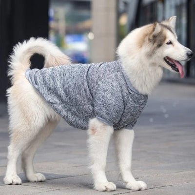 Pull pour Chien Izzy™ : Élégance et Confort - Le monde de Philo