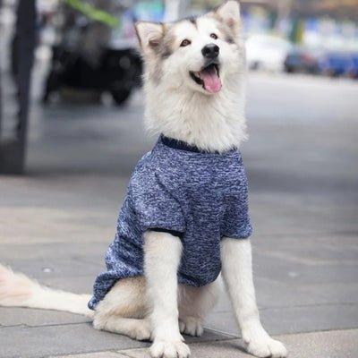 Pull pour Chien Izzy™ : Élégance et Confort - Le monde de Philo