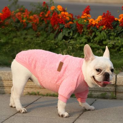 Pull pour Chien Izzy™ : Élégance et Confort - Le monde de Philo