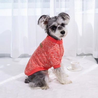 Pull pour Chien Izzy™ : Élégance et Confort - Le monde de Philo