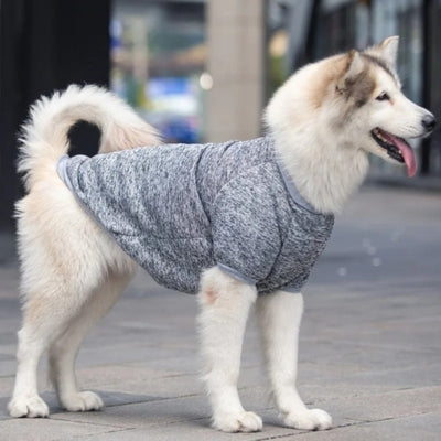 pull-pour-chien-rouge-gris