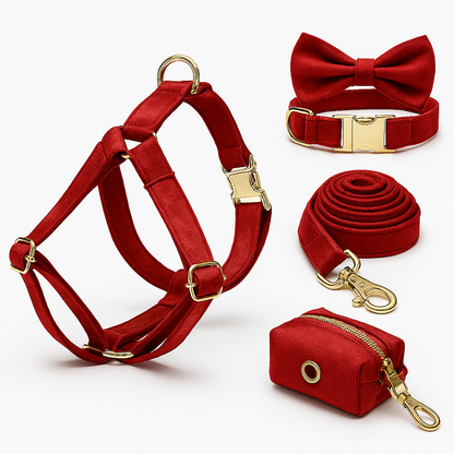 Ensemble d’accessoires pour chien – Élégance et confort au quotidien