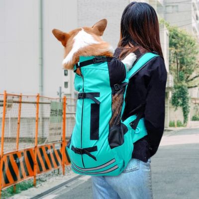 SAC A DOS POUR CHIEN - Aventure Turquoise - Le monde de Philo