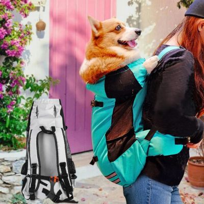 SAC A DOS POUR CHIEN - Aventure Turquoise - Le monde de Philo