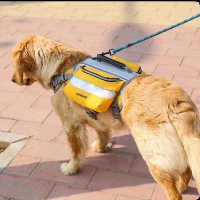 Sac a Dos pour Chien - Capacity™ - Le monde de Philo