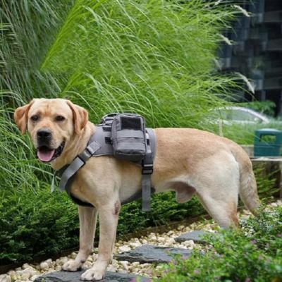 Sac à Dos pour Chien - Montagnard™ - Le monde de Philo