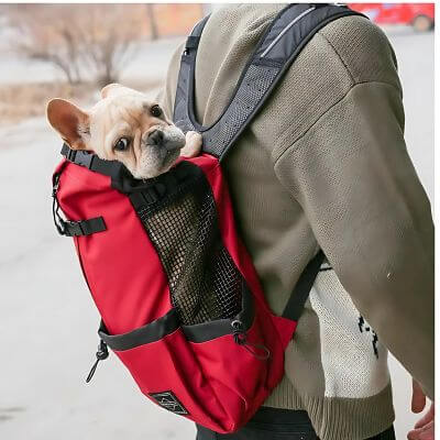 sac-a-dos-pour-chien-rouge