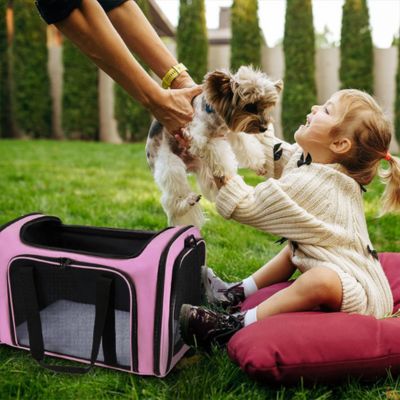 Sac Transport Chien - CarryFriend™ - Le monde de Philo