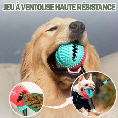 SuctionPaws™|Jouet Interactif Balle Ventouse - Le monde de Philo