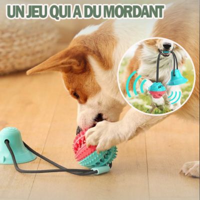 SuctionPaws™|Jouet Interactif Balle Ventouse - Le monde de Philo