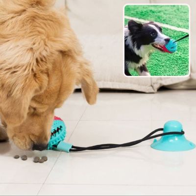 SuctionPaws™|Jouet Interactif Balle Ventouse - Le monde de Philo