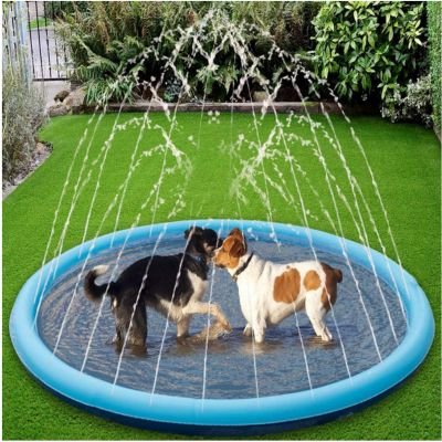 Tapis jets d'eau pour chien | Splash Pad™ - Le monde de Philo