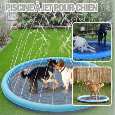 Tapis jets d'eau pour chien | Splash Pad™ - Le monde de Philo