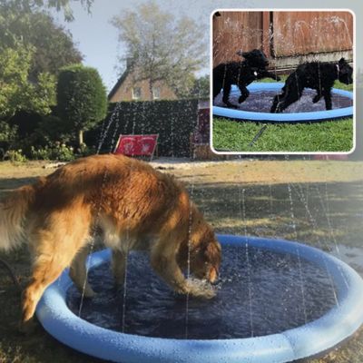 Tapis jets d'eau pour chien | Splash Pad™ - Le monde de Philo