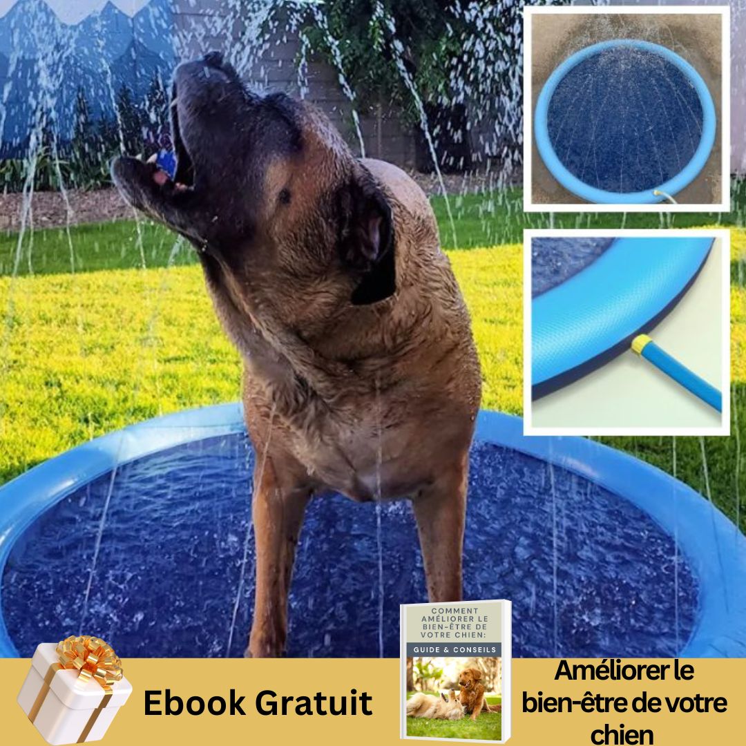 Tapis jets d'eau pour chien | Splash Pad™ - Le monde de Philo