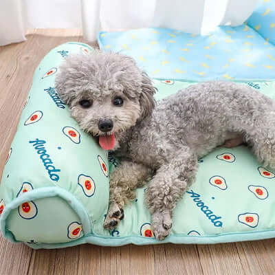 tapis-rafraichissant-chien-ete