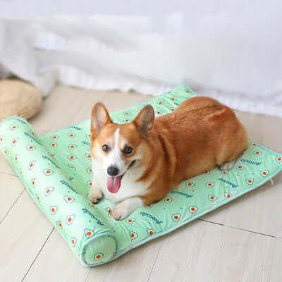 tapis-rafraichissant-chien-refroidissant