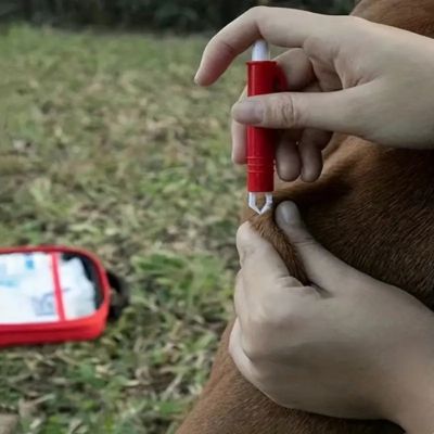 trousse-premiers-soins-chien-pince