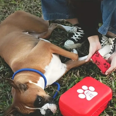 trousse-premiers-soins-chien-urgence