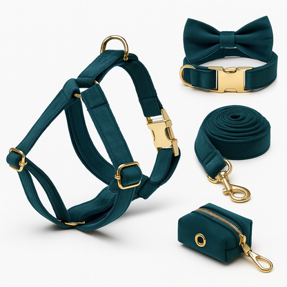 Ensemble d’accessoires pour chien – Élégance et confort au quotidien